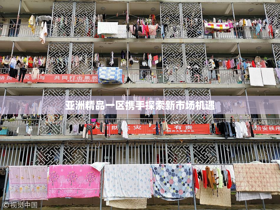 亚洲精品一区携手探索新市场机遇