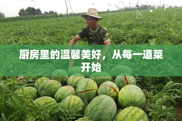 厨房里的温馨美好，从每一道菜开始