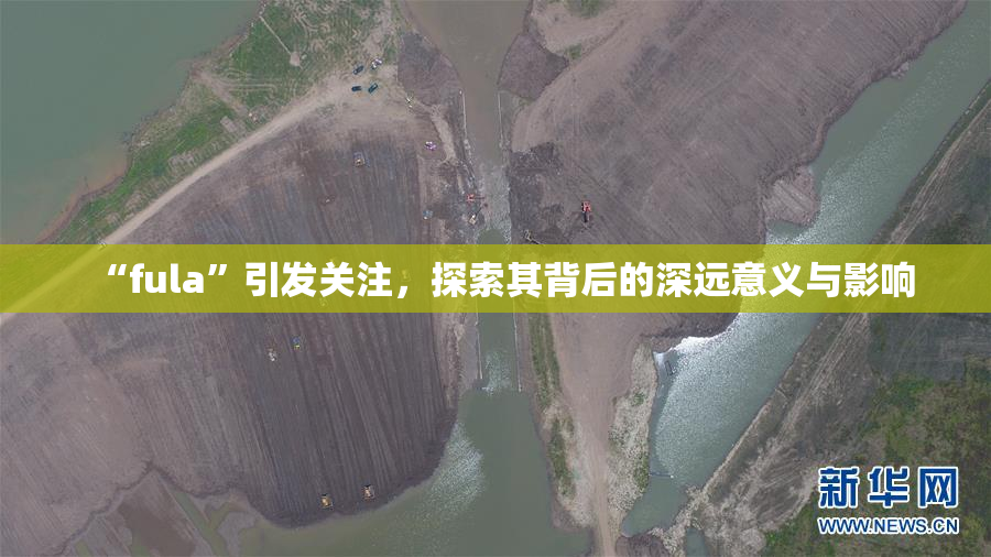 “fula”引发关注，探索其背后的深远意义与影响