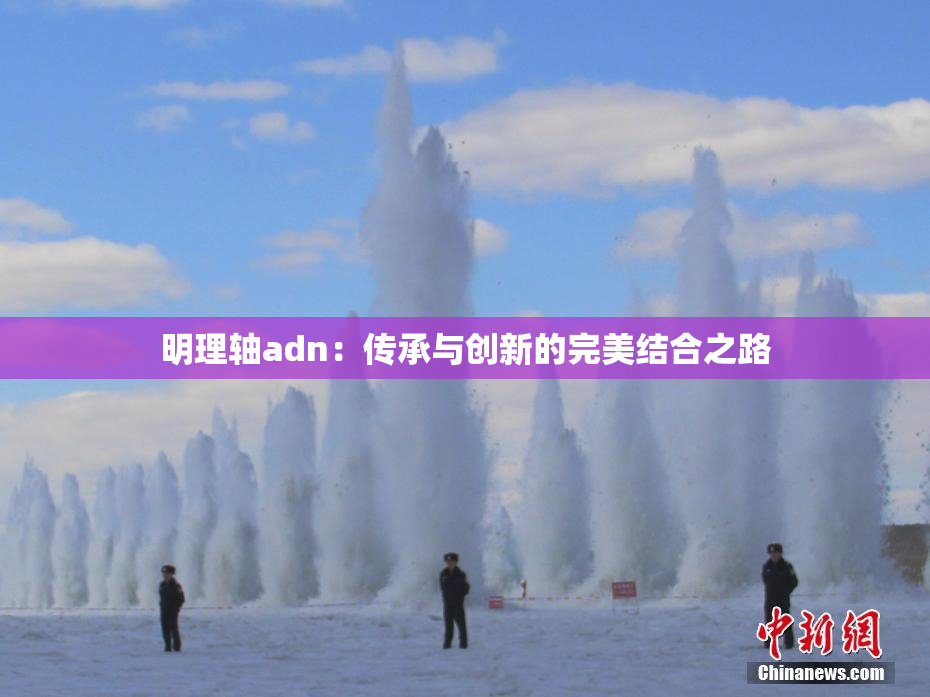 明理轴adn：传承与创新的完美结合之路