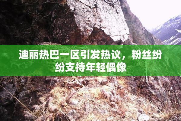 迪丽热巴一区引发热议，粉丝纷纷支持年轻偶像