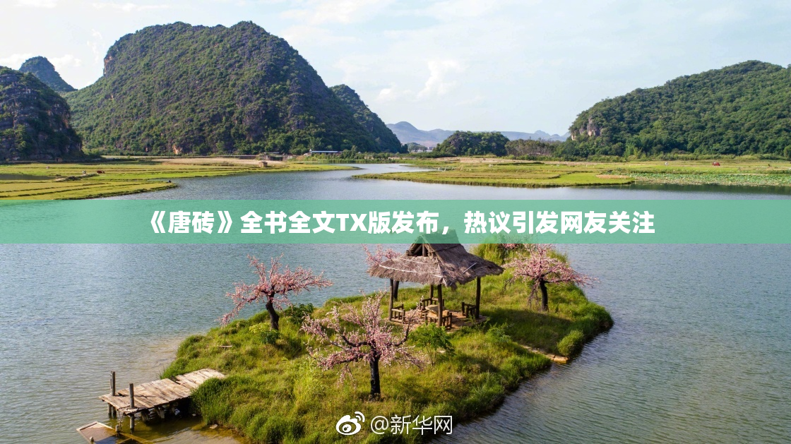 《唐砖》全书全文TX版发布，热议引发网友关注