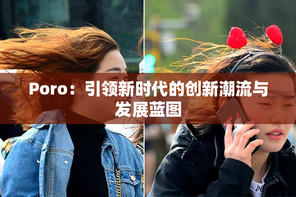 Poro：引领新时代的创新潮流与发展蓝图