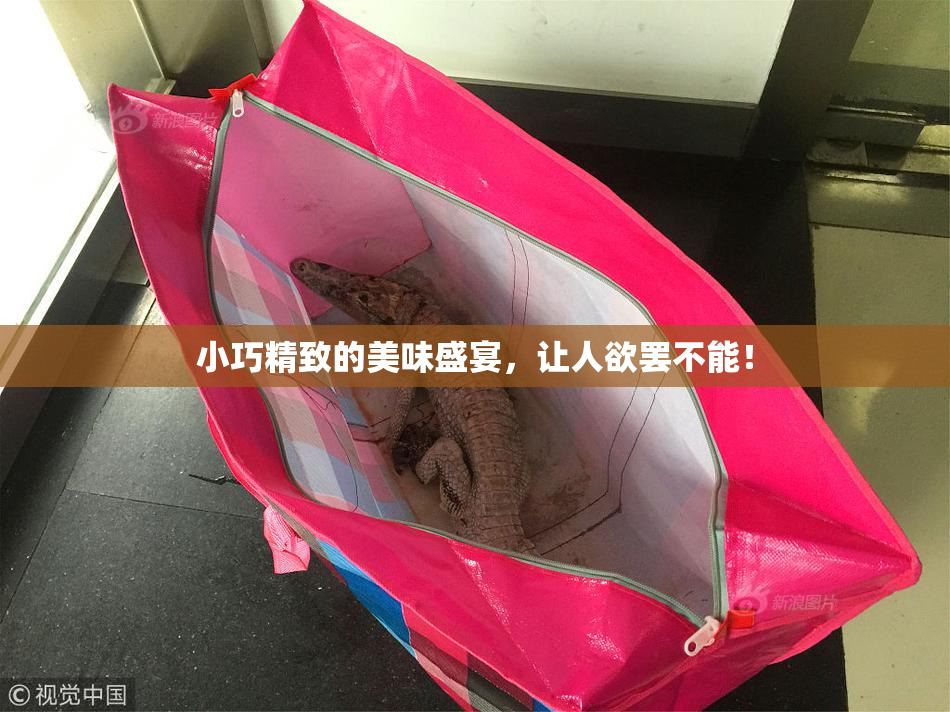 小巧精致的美味盛宴，让人欲罢不能！