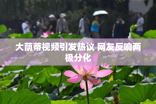 大荫蒂视频引发热议 网友反响两极分化