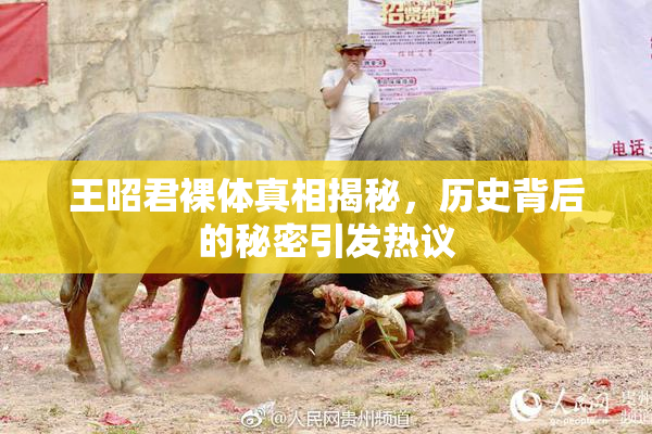 王昭君裸体真相揭秘，历史背后的秘密引发热议