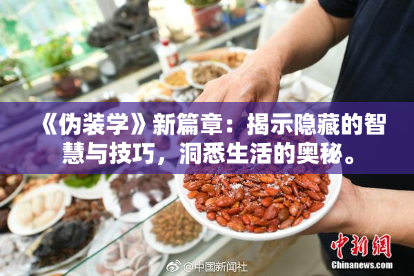 《伪装学》新篇章：揭示隐藏的智慧与技巧，洞悉生活的奥秘。