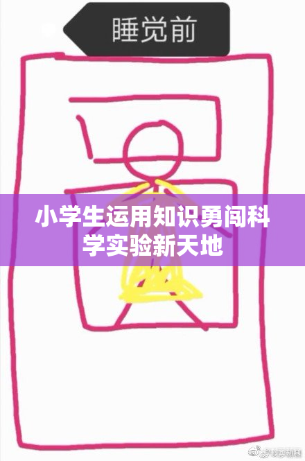 小学生运用知识勇闯科学实验新天地