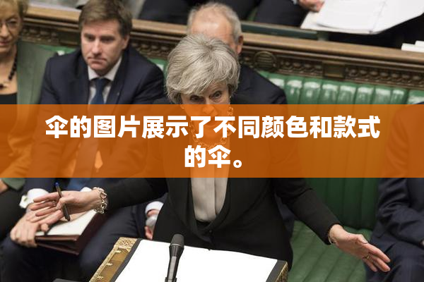 伞的图片展示了不同颜色和款式的伞。