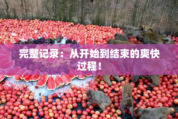 完整记录：从开始到结束的爽快过程！