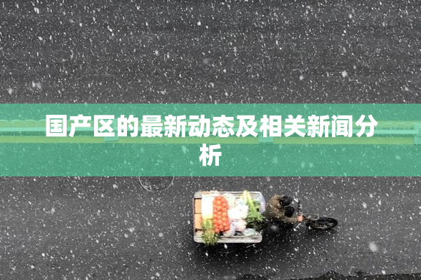 国产区的最新动态及相关新闻分析