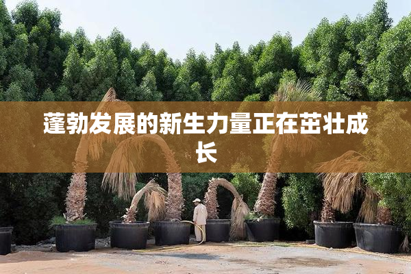 蓬勃发展的新生力量正在茁壮成长