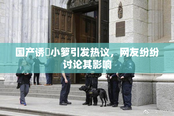 国产诱奷小箩引发热议，网友纷纷讨论其影响