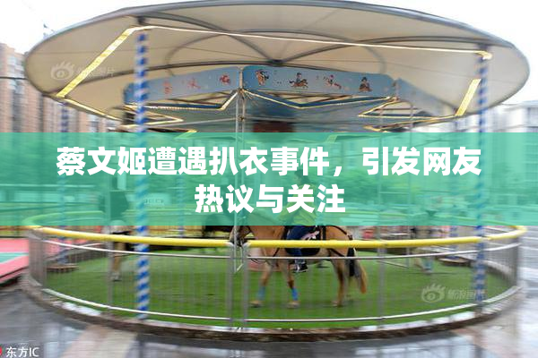 蔡文姬遭遇扒衣事件，引发网友热议与关注