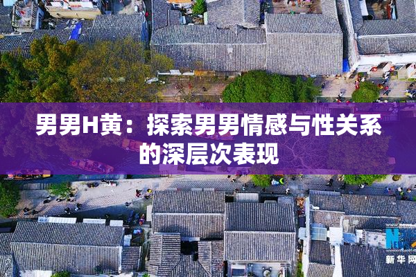 男男H黄：探索男男情感与性关系的深层次表现