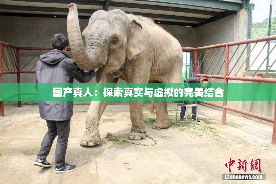 国产真人：探索真实与虚拟的完美结合
