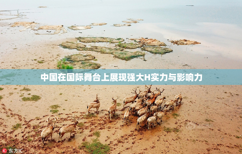 中国在国际舞台上展现强大H实力与影响力
