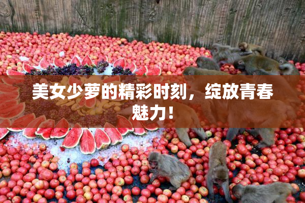 美女少萝的精彩时刻，绽放青春魅力！