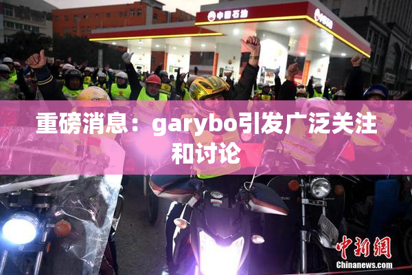重磅消息：garybo引发广泛关注和讨论