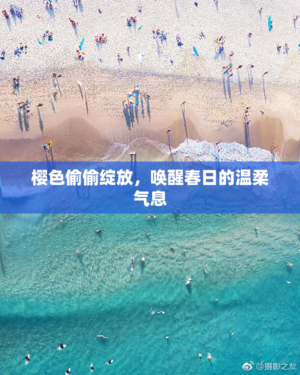 樱色偷偷绽放，唤醒春日的温柔气息