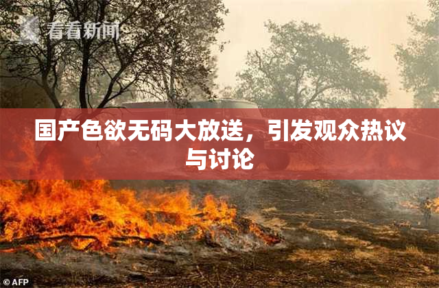 国产色欲无码大放送，引发观众热议与讨论