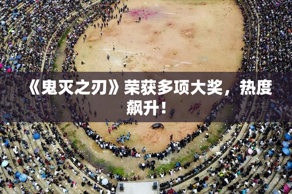 《鬼灭之刃》荣获多项大奖，热度飙升！
