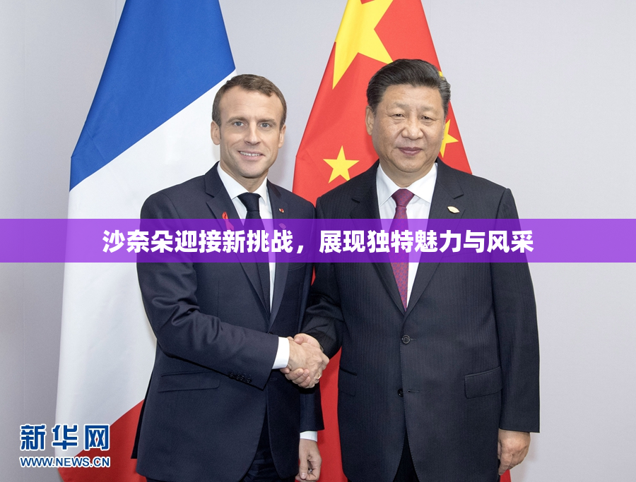 沙奈朵迎接新挑战，展现独特魅力与风采