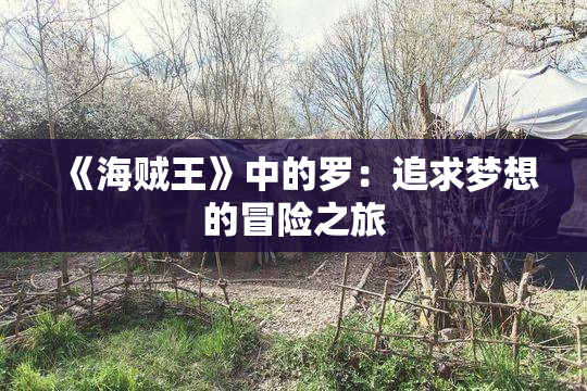《海贼王》中的罗：追求梦想的冒险之旅