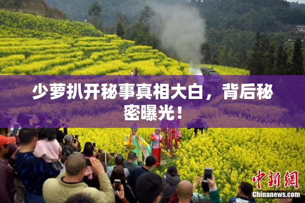 少萝扒开秘事真相大白，背后秘密曝光！