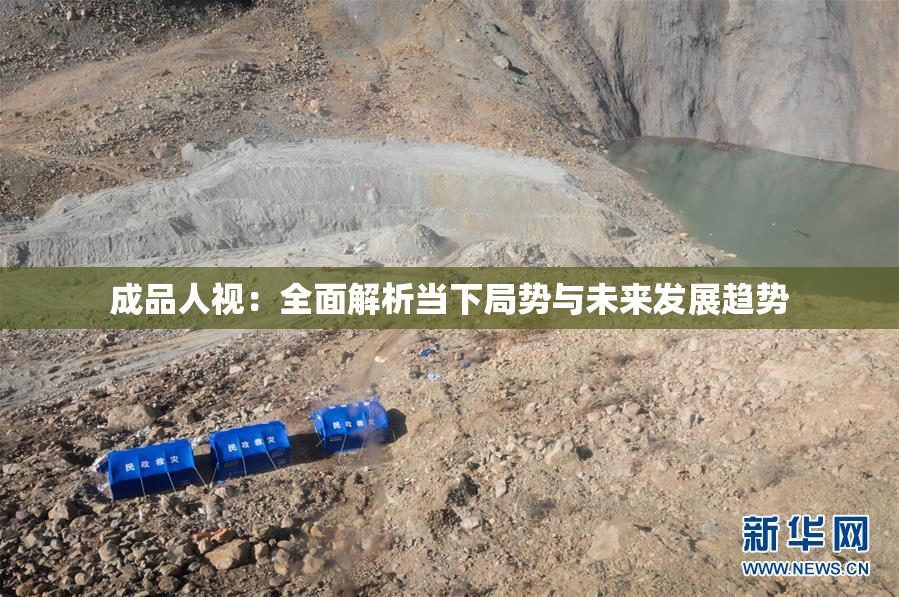 成品人视：全面解析当下局势与未来发展趋势