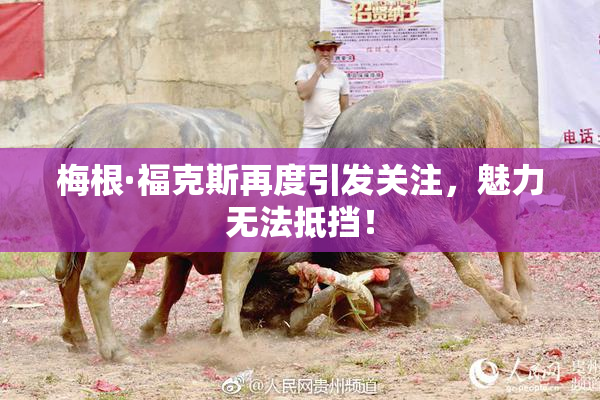 梅根·福克斯再度引发关注，魅力无法抵挡！