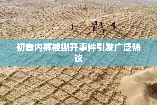 初音内裤被撕开事件引发广泛热议