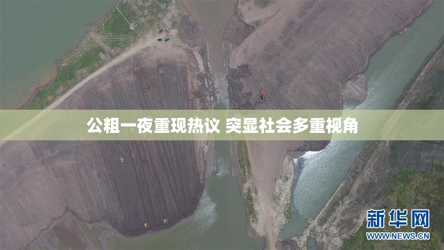 公粗一夜重现热议 突显社会多重视角