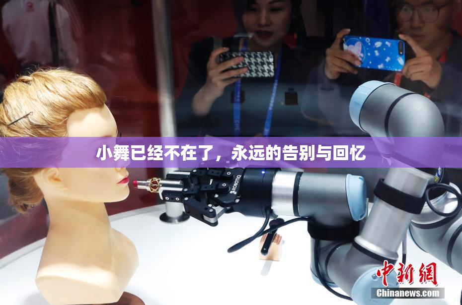 小舞已经不在了，永远的告别与回忆