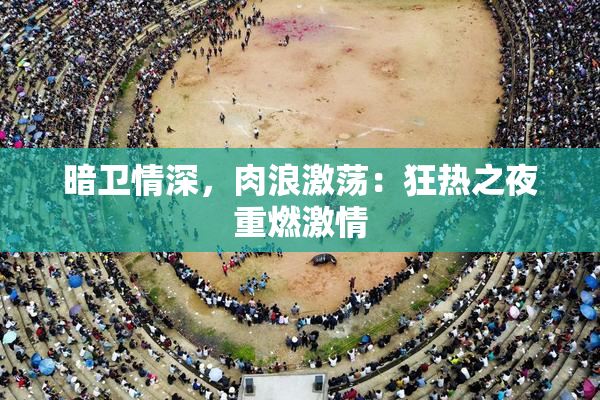 暗卫情深，肉浪激荡：狂热之夜重燃激情
