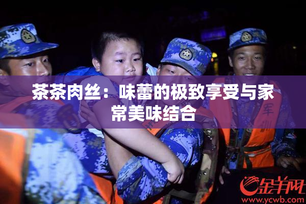 茶茶肉丝：味蕾的极致享受与家常美味结合
