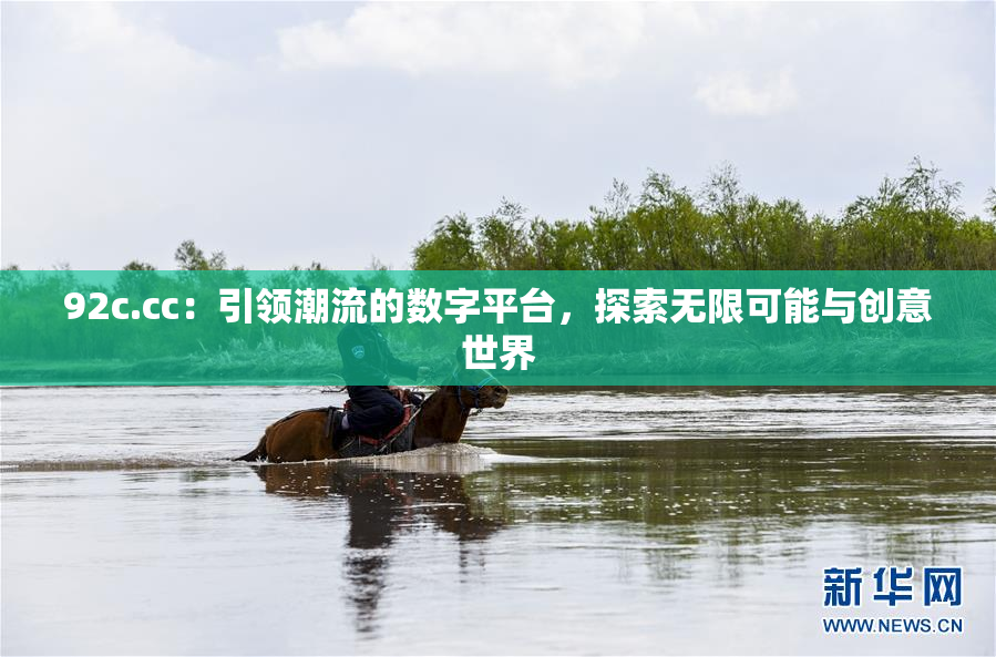 92c.cc：引领潮流的数字平台，探索无限可能与创意世界