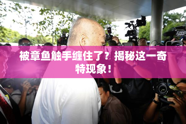 被章鱼触手缠住了？揭秘这一奇特现象！