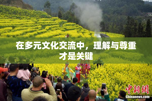 在多元文化交流中，理解与尊重才是关键