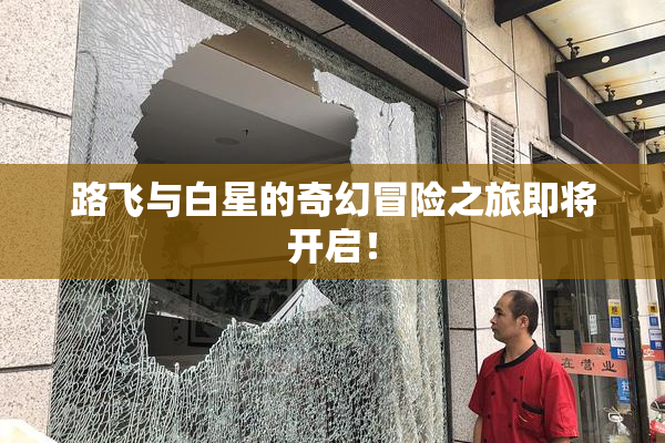 路飞与白星的奇幻冒险之旅即将开启！
