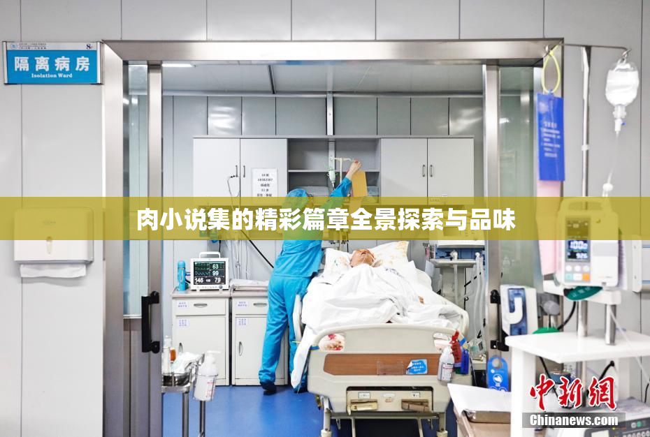 肉小说集的精彩篇章全景探索与品味