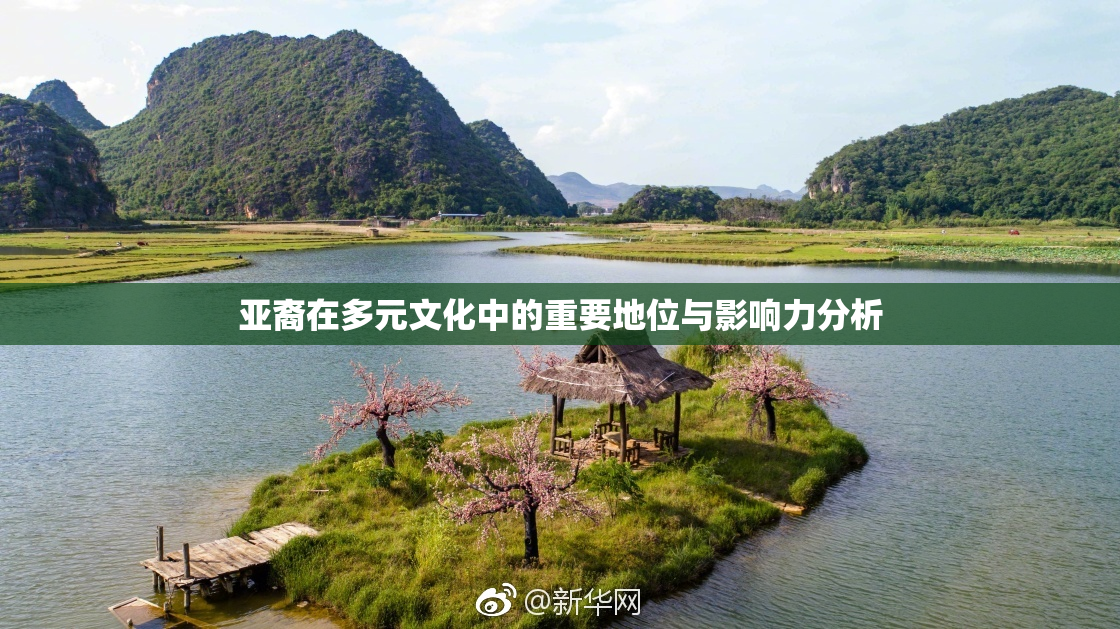 亚裔在多元文化中的重要地位与影响力分析