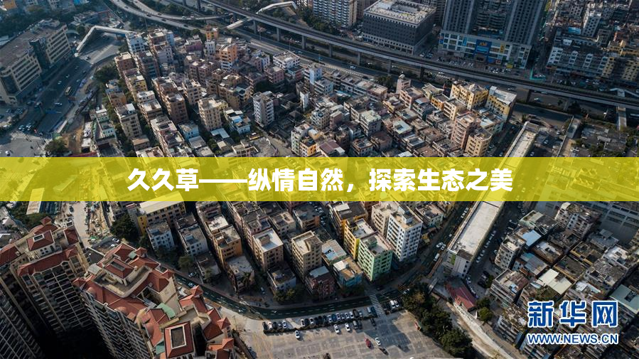 久久草——纵情自然，探索生态之美