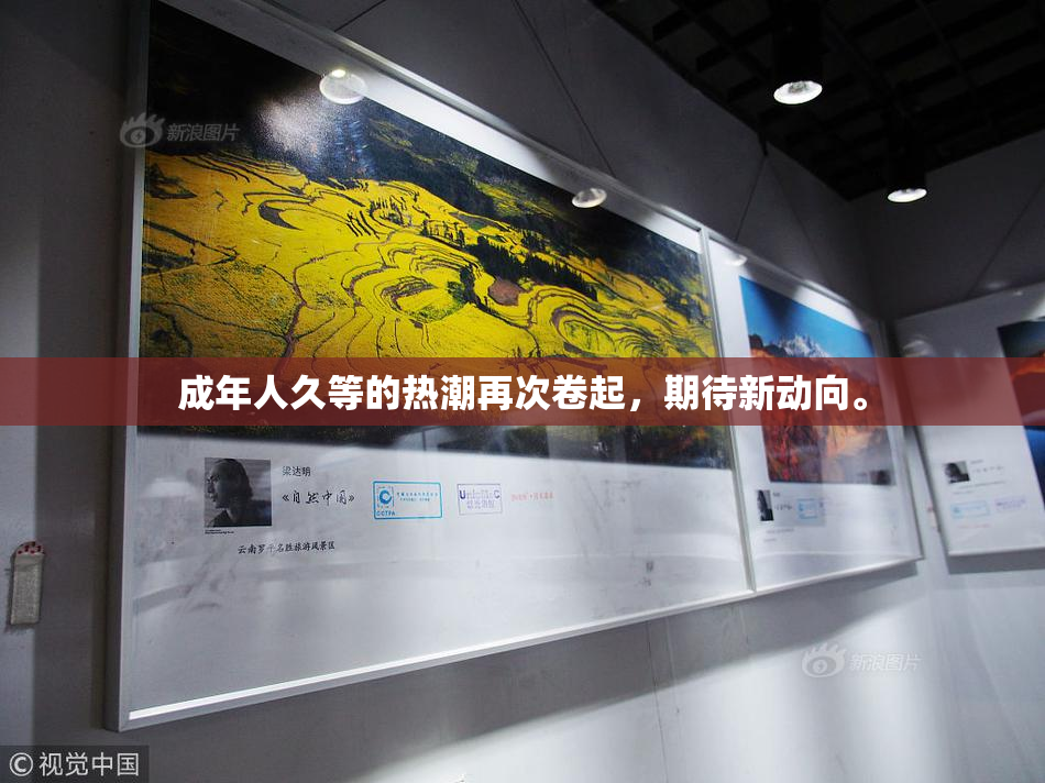成年人久等的热潮再次卷起，期待新动向。