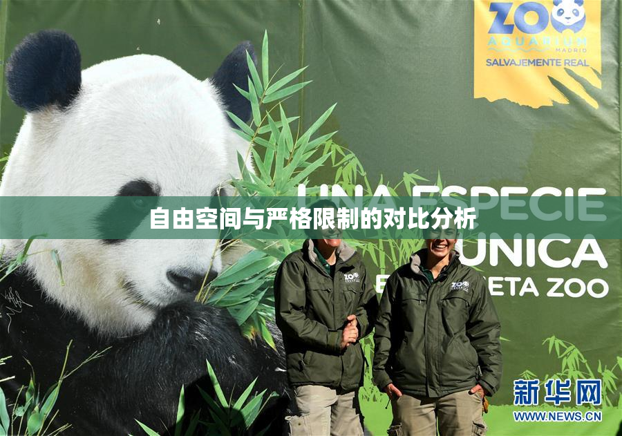 自由空间与严格限制的对比分析