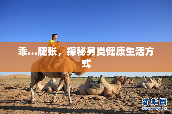 乖…腿张，探秘另类健康生活方式