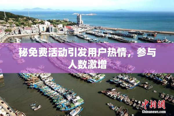 秘免费活动引发用户热情，参与人数激增