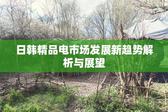 日韩精品电市场发展新趋势解析与展望