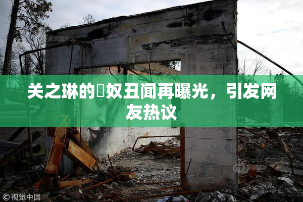 关之琳的婬奴丑闻再曝光，引发网友热议