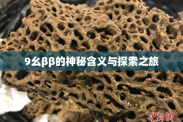 9幺ββ的神秘含义与探索之旅
